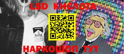 прущие грибы Конаково